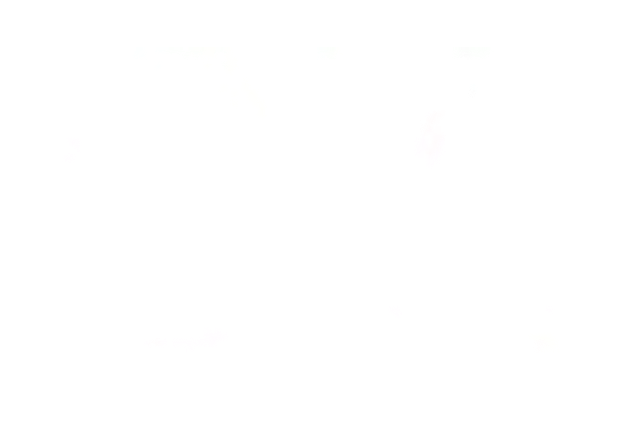 cmstudio.site